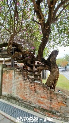 【台中西區】臺中刑務所演武場2968249