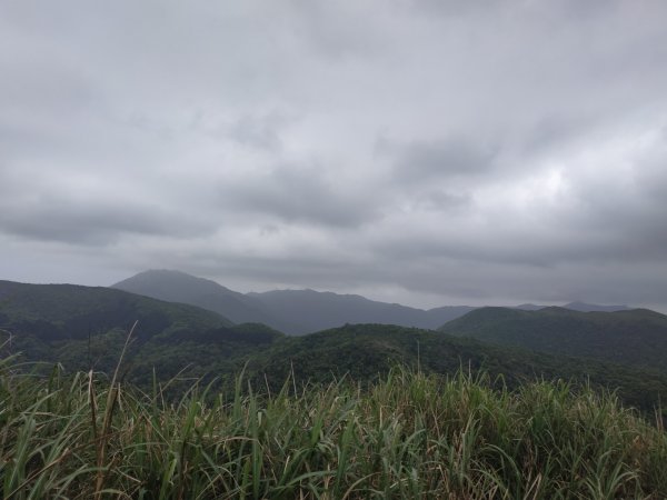 富士坪古道-富士坪山-大尖山1355571