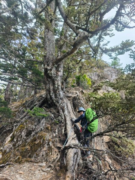 20240320 馬博8天縱走~第五天，馬里亞文路山，馬利加南山2471212