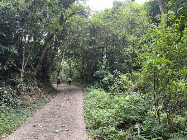 [皮皮獅Hike客任務-02/10] 2024_0720 渡南古道+飛鳳古道2557080