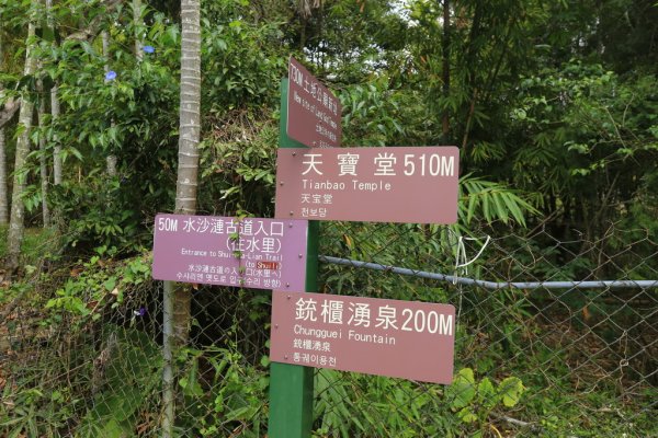 水沙連古道‧土地公鞍嶺2098031