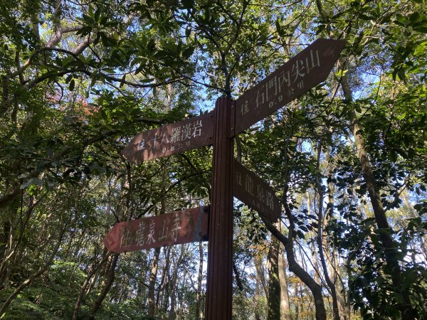 2025微笑山線大縱走尋寶集章任務-Ep.04【天上山系】望月亭桐花段｜石門內尖山東峰 ×石門內尖山2979153