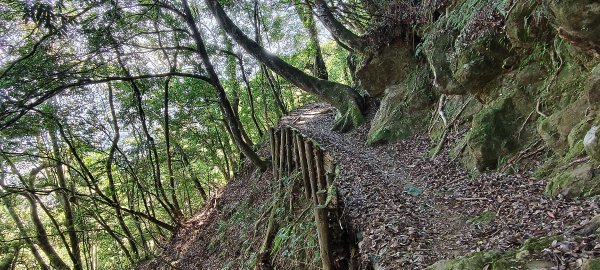 2026/03/18 加里山+大坪山 O型3020011