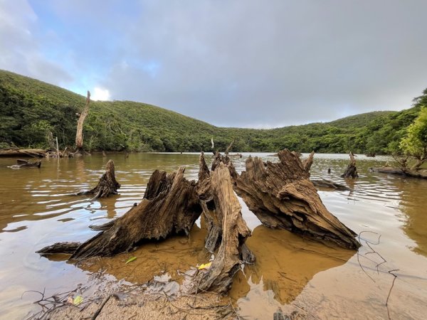 紅頭山大天池2893980