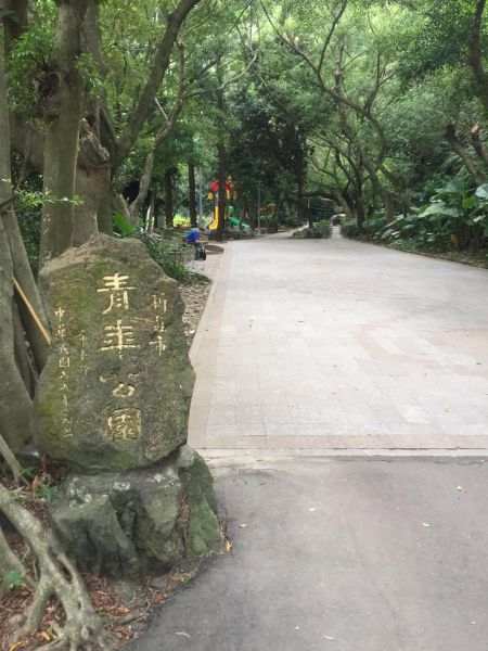 新莊青年公園淨山392588