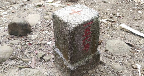 20210326_員屯山1321609