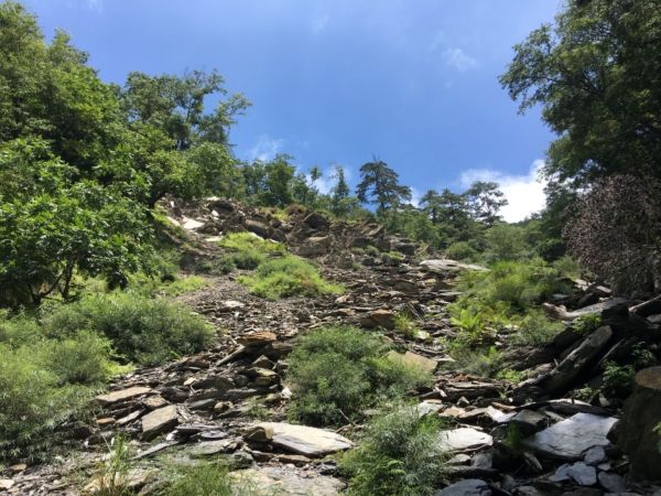 大霸群峰1/2-加利山、伊澤山384929