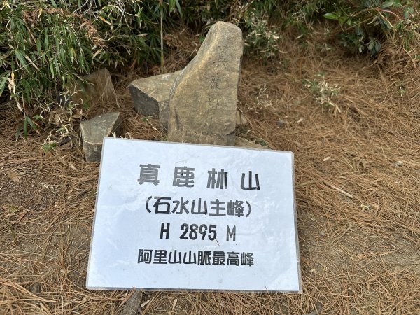 新高口走石山引水道 石水山 真鹿林山 鹿林前山 石山O型路線2020977