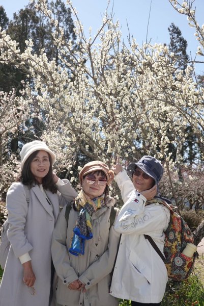 🌈2/16(日)-17(一)福壽山+武陵農場賞櫻🌈🌸FB：熊熊趴爬走 歡迎加入2714885