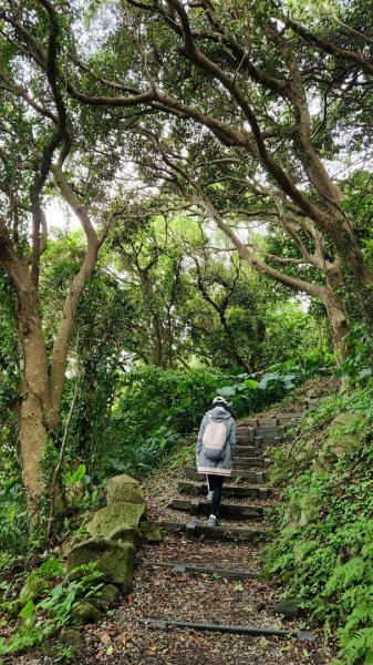 八里牛港稜山，林稍步道，泰山崎頭古道，義學坑步道，明志書院，林口頂福巖森林步道（林口森林步道）1873577