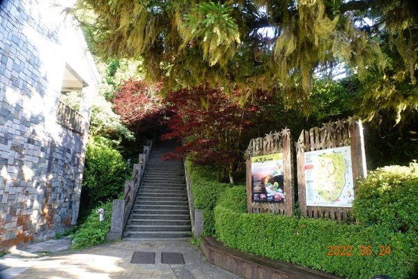 宜蘭 大同 太平山森林遊樂區1743624