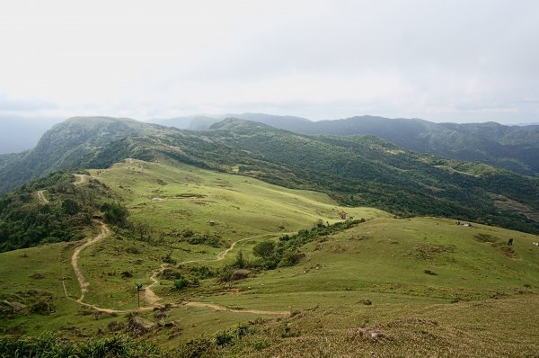 灣坑頭山 桃源谷步道 連走2034775