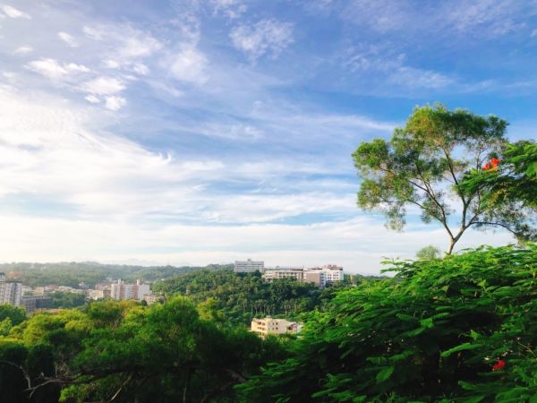 早晨的八卦山天空步道376888