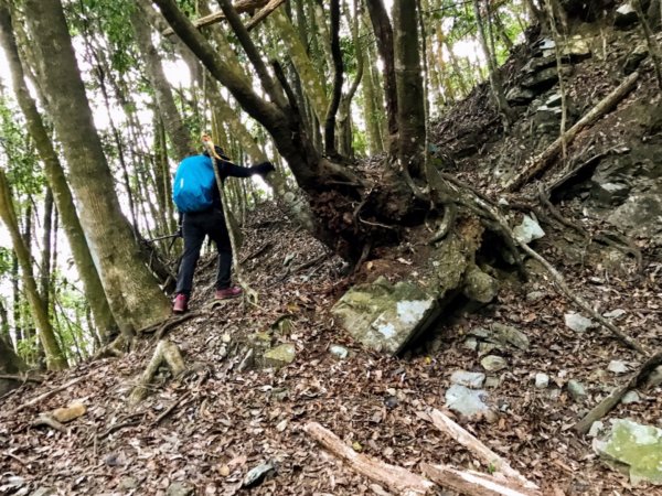 八仙山駐在所環走八仙山1251601