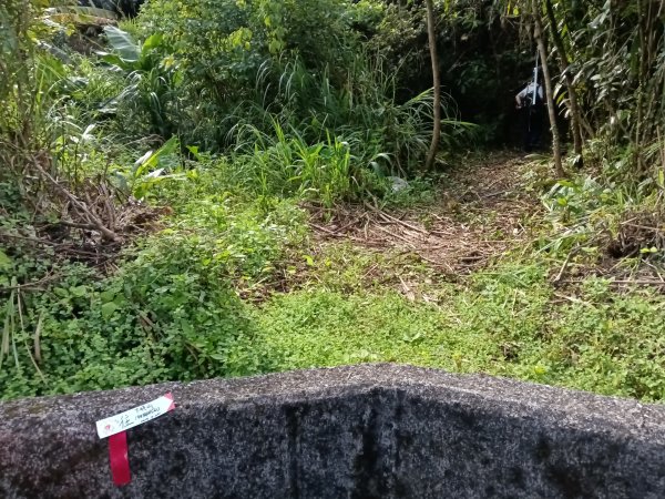 雙溪區威惠廟+下坑山+570峰+大埤格+崩山坑古道O型2814820