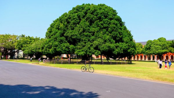 台南成大等3002041