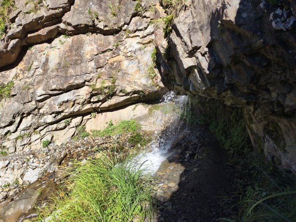 [玉山尋寶任務-07/12] 2025_0824 八通關雲龍瀑布步道2870653