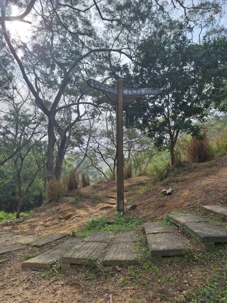 頭份鹿廚坑健行步道2734330