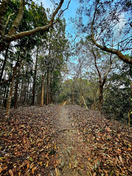 小百岳集起來-刣牛湖山山2184598