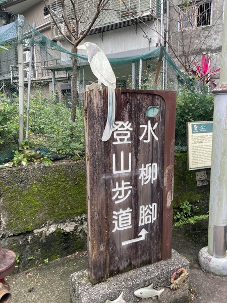 坪林烏窟子山2685868