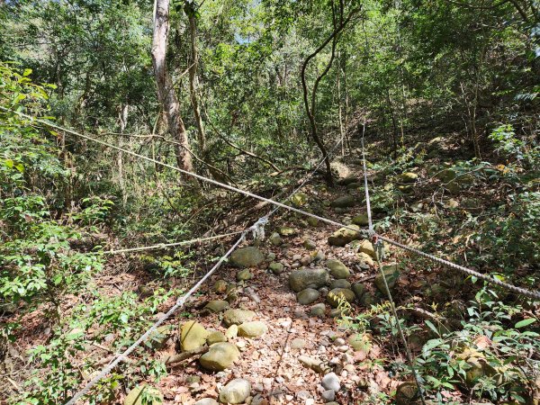 20230416大坑步道2~5+石苓湖山2175640