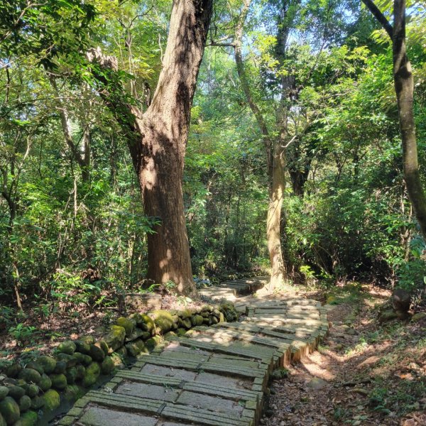 昆盧禪寺步道1821855