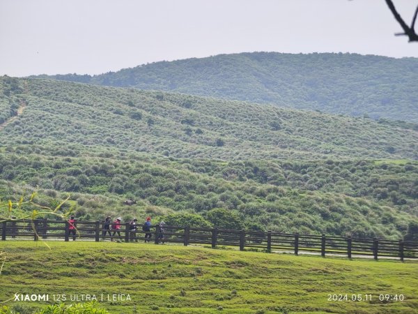陽明山東西大縱走2610125