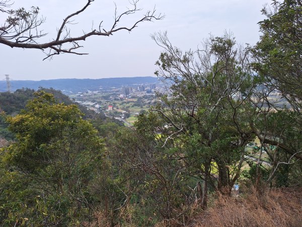 飛龍步道(崇聖亭起登)202401222696332