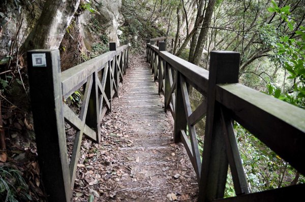 八仙山森林步道2865233