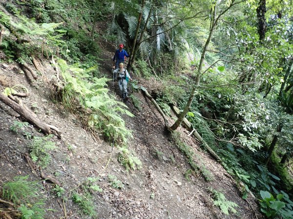 福山往返茶墾山，大台北郊山百岳之馬克完百623955