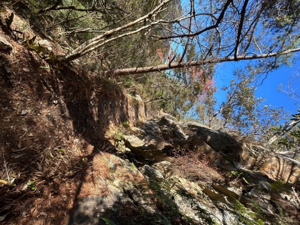 谷關七雄-東卯山2681753