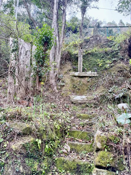 熊野古道中邊路D1 紀伊田邊、潮見峠O繞 2025.3.162744444