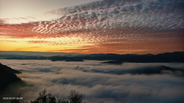 翡翠水庫壩頂 #曙光 #日出 #火燒雲 #斜射光(上帝光) #雲海 3/12722436