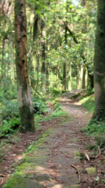 小油坑-風櫃口-202408252601461