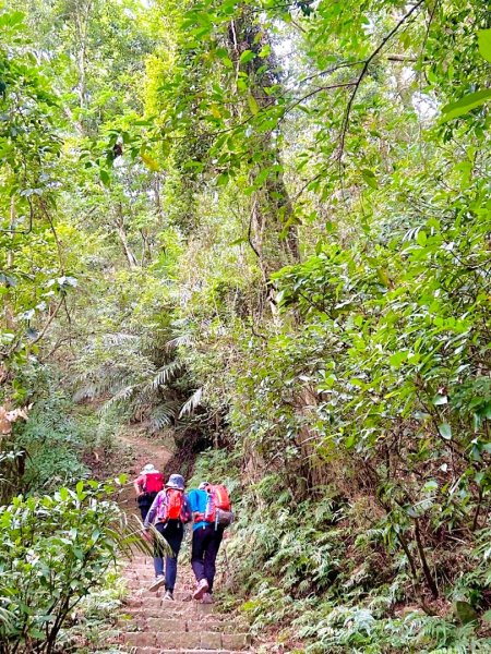 鳴鳳山古道群走鳴鳳山 三湖山吃仙草冰2923359