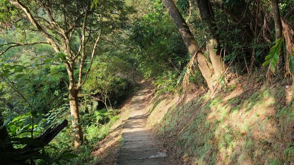 2021-1107 造鎮五城山天上山三粒半永寧1509595