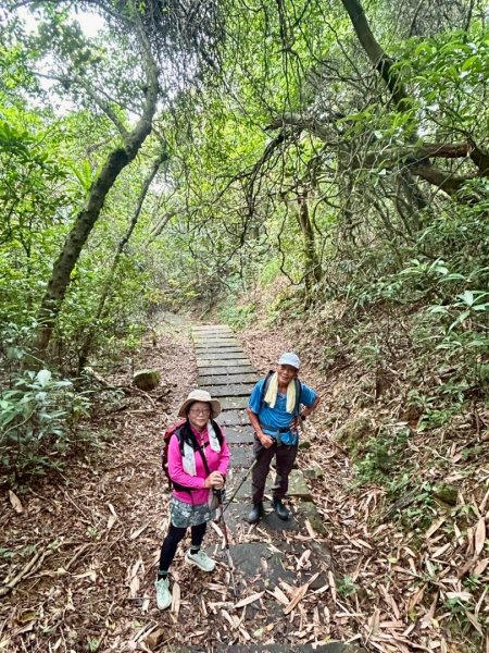 大溪漁港越嶺桃源谷下大里天公廟(蕃薯寮山 福德山 灣坑頭山/小百岳#82)3054207