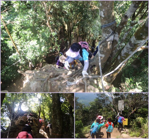 獅潭仙山步道444239