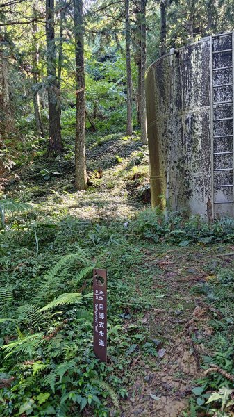 東眼山3107273