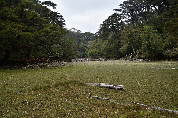 萬山神鬼五湖 9日行1356702