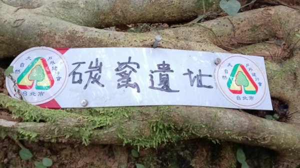 三芝區竿尾崙古道-竿尾崙-清涼崙-大屯溪古道O型3095652