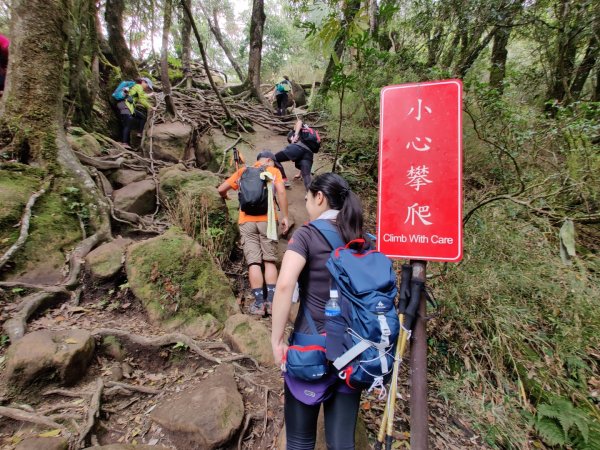 2020.05.02加里山 鹿場登山口來946341