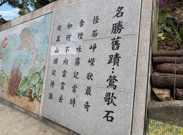 [微笑山線_第二段] 2026_0725 大棟山系_百年大榕樹3101571