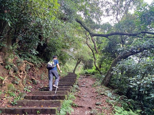 【新竹芎林】台灣百大必訪步道。 飛鳳山、觀日坪古道O繞2564336