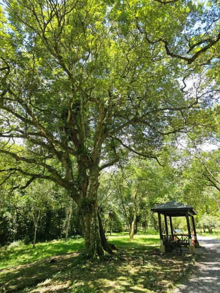 福山植物園 - (宜蘭)臺灣百大必訪步道2557626