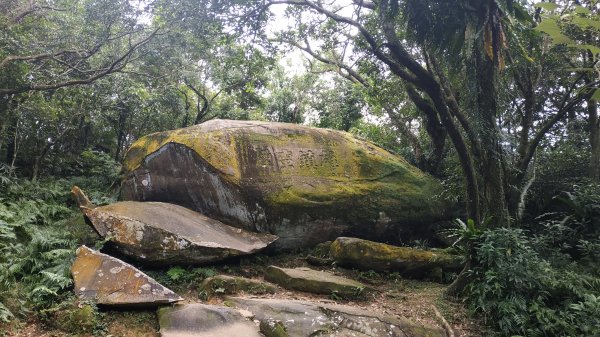 桃源谷+草嶺古道730526