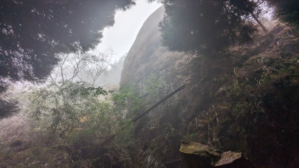 阿里山眠月線2411579