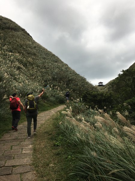 草嶺古道_桃源古大草原_大溪 縱走899823