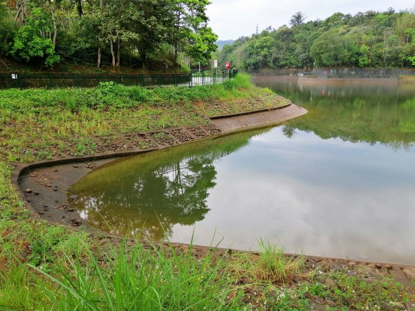 魚池~環湖步道享悠閒~頭社水庫生態步道963854