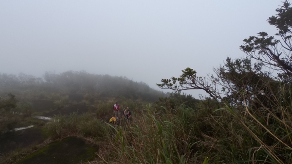 屏東滿洲鄉萬里得山步道--小百岳64729